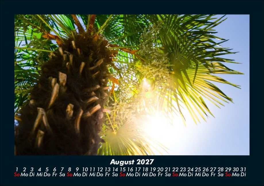 InsideView 12