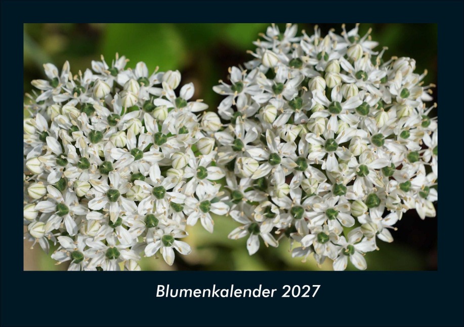 Blumenkalender 2027 Fotokalender DIN A4 - Tobias Schmitt, Kevin Heber