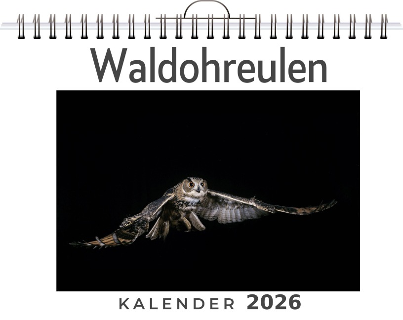 Waldohreulen - Oliver Schäfer