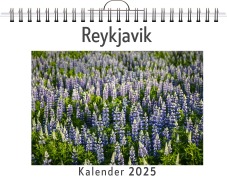 Cover-Bild zum Titel 'Reykjavik' von 'Sarah Kaiser'