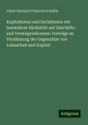 Kapitalismus und Socialismus mit besonderer Rücksicht auf Geschäfts- und Vermögensformen: Vorträge zu Versöhnung der Gegensätze von Lohnarbeit und Kapital - Albert Eberhard Friedrich Schäffle