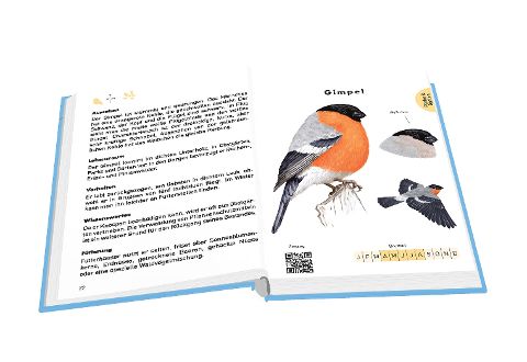 InsideView 2