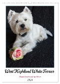 West Highland White Terrier - Herzensbrecher auf vier Pfoten (Wandkalender 2024 DIN A3 hoch), CALVENDO Monatskalender - Angela Rohde