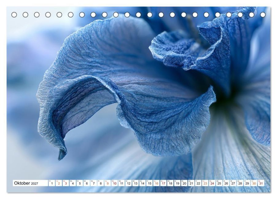 InsideView 2
