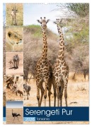 Cover-Bild zum Titel 'Serengeti Pur - Tansania (Wandkalender 2026 DIN A2 hoch), CALVENDO Monatskalender' von 'Sabine Reuke'
