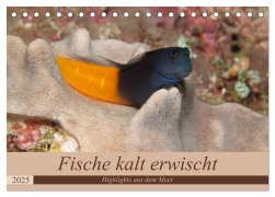 Sven Gruse taucht ab! Fische kalt erwischt (Tischkalender 2025 DIN A5 quer), CALVENDO Monatskalender - Sven Gruse