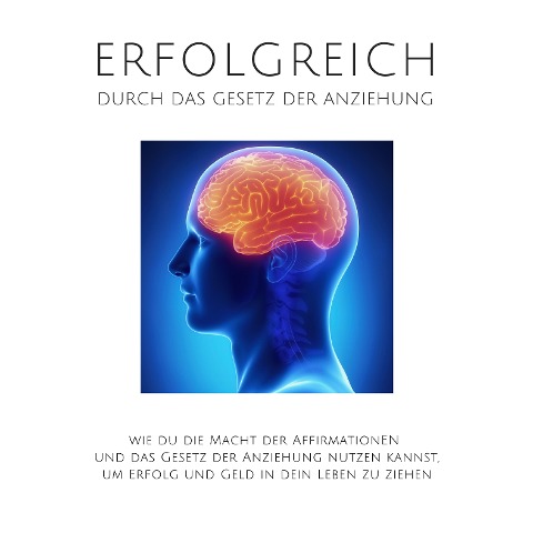 Erfolgreich durch das Gesetz der Anziehung - Patrick Lynen