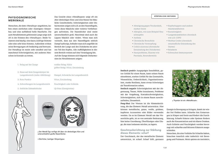 InsideView 5