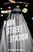 Park Street Station (North County Paranormal Unit, #6) - Amanda McCormack