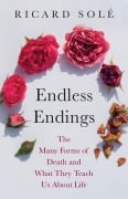 Cover-Bild zum Titel 'Endless Endings' von 'Ricard Solé'