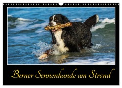 Cover-Bild zum Titel 'Berner Sennenhunde am Strand (Wandkalender 2026 DIN A3 quer), CALVENDO Monatskalender' von 'Sigrid Starick'