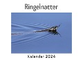Ringelnatter (Wandkalender 2024, Kalender DIN A4 quer, Monatskalender im Querformat mit Kalendarium, Das perfekte Geschenk) - Anna Müller