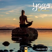 Cover-Bild zum Titel 'Yoga & Meditation 2027 - Original Flame Tree Publishing-Kalender [Kalender]' von 'Tree Flame'