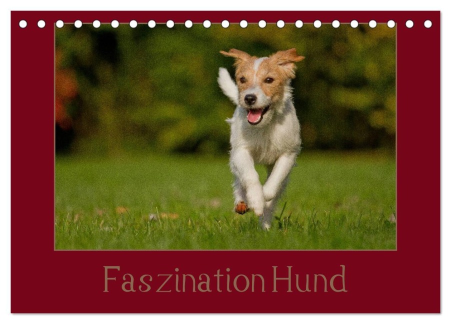Faszination Hund (Tischkalender 2026 DIN A5 quer), CALVENDO Monatskalender - Tierfotografie Bischof Bischof