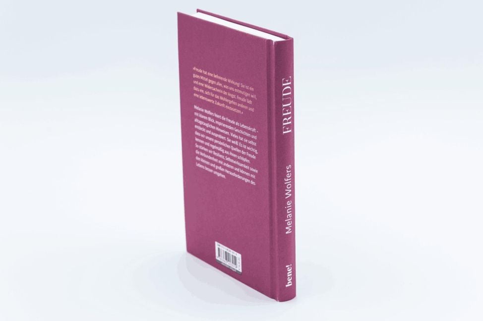 InsideView 6