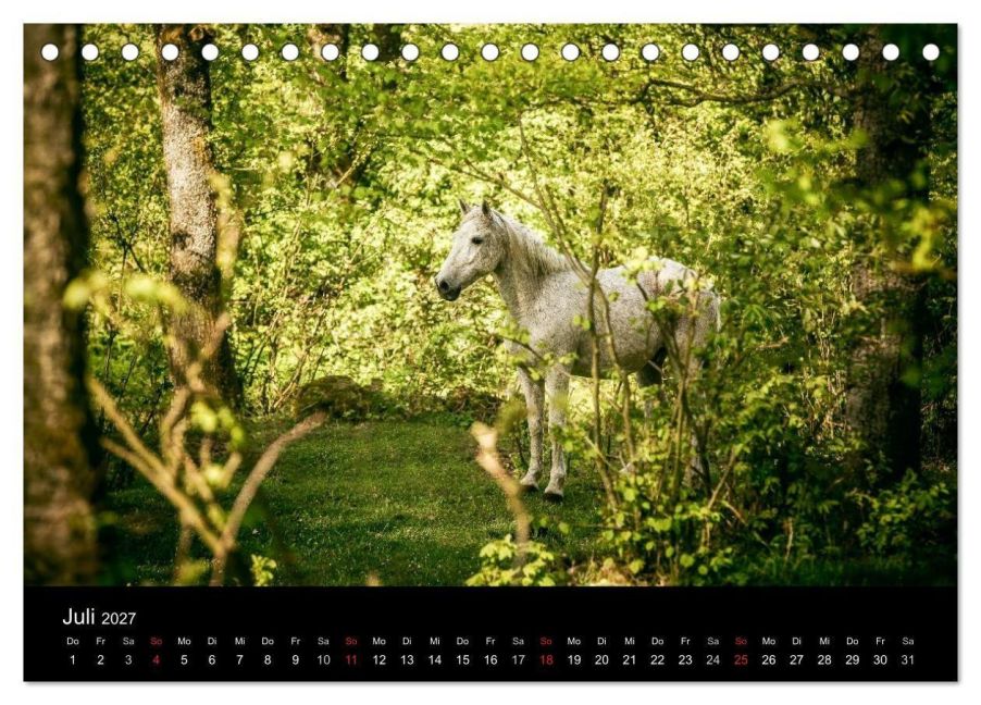 InsideView 12