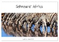 Sehnsucht Afrika - Faszinierende Tierwelt im südlichen Afrika (Wandkalender 2024 DIN A2 quer), CALVENDO Monatskalender - Birgit Scharnhorst