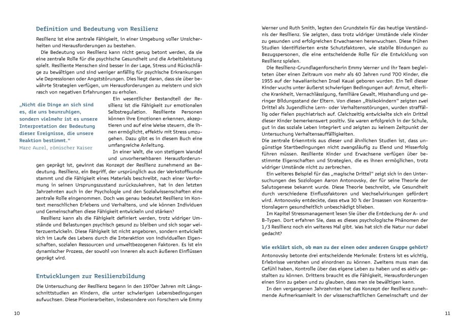 InsideView 2