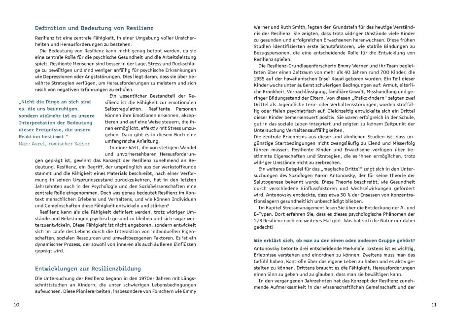 InsideView 2