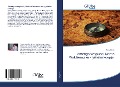 Cover-Bild zum Titel 'Amerigo Vespucci, Martin Waldsemuller - geheim koopje' von 'Ramiz Daniz'