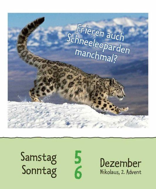 InsideView 16