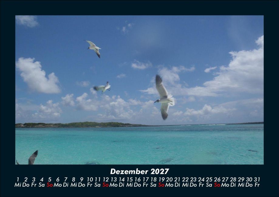 InsideView 4