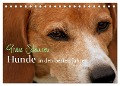 Graue Schnuten - Hunde in den besten Jahren (Tischkalender 2025 DIN A5 quer), CALVENDO Monatskalender - Kerstin Grüttner