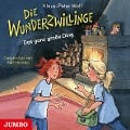 Die Wunderzwillinge 02. Das ganz große Ding - Klaus-Peter Wolf, Karl Menrad