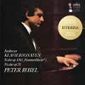 Cover-Bild zum Titel 'Beethoven:Klaviersonaten (2020)' von 'Peter Rösel'