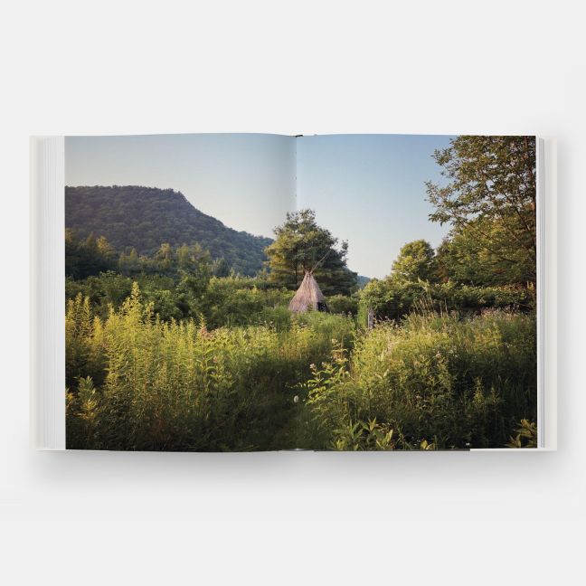 InsideView 8