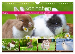 Kaninchen. Putzig, flauschig und geliebt (Wandkalender 2025 DIN A4 quer), CALVENDO Monatskalender - Rose Hurley