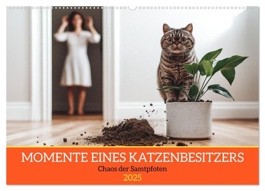 Momente eines Katzenbesitzers - Chaos der Samtpfoten (Wandkalender 2025 DIN A2 quer), CALVENDO Monatskalender - Mb Fotografie