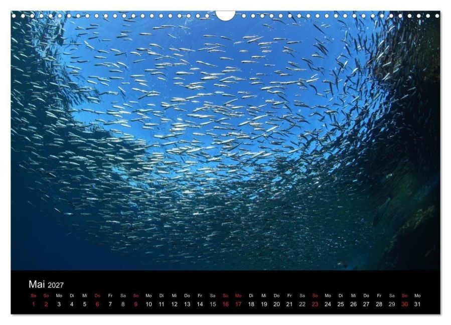 InsideView 10