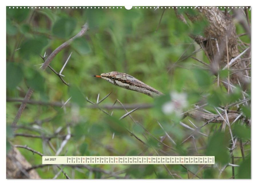 InsideView 12
