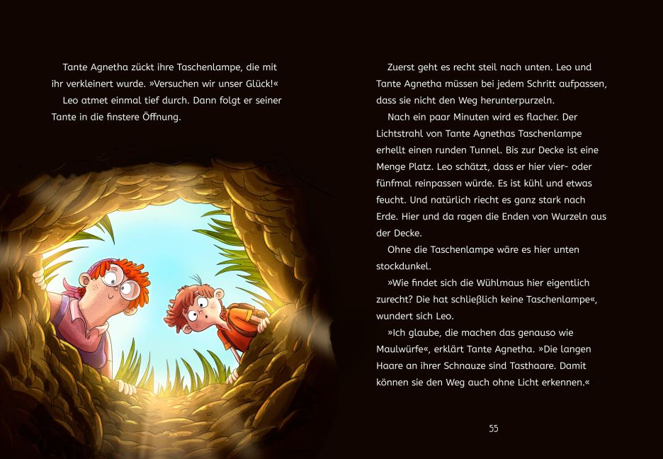 InsideView 5