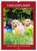 Cover-Bild zum Titel 'Familienplaner - Labrador Welpen entdecken die Welt (Wandkalender 2026 DIN A3 hoch), CALVENDO Monatskalender' von 'Sigrid Starick'
