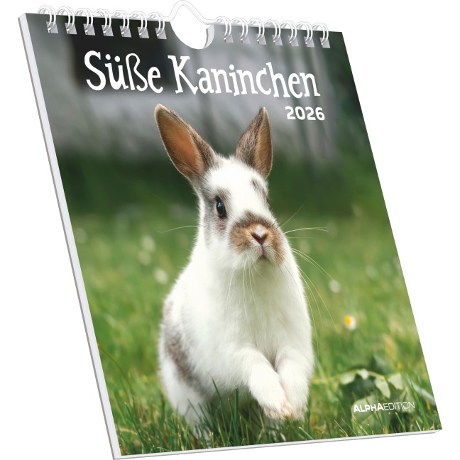 Süße Kaninchen 2026 - Postkartenkalender 16x17 cm - 