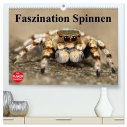 Cover-Bild zum Titel 'Faszination Spinnen (hochwertiger Premium Wandkalender 2026 DIN A2 quer), Kunstdruck in Hochglanz' von 'Elisabeth Stanzer'