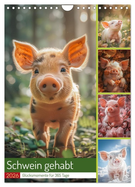 Schwein gehabt (Wandkalender 2026 DIN A4 hoch), CALVENDO Monatskalender - Steffen Gierok-Latniak