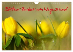 Cover-Bild zum Titel 'Blüten-Zauber am Wegesrand 2026 (Wandkalender 2026 DIN A4 quer), CALVENDO Monatskalender' von 'Lutz Klapp'