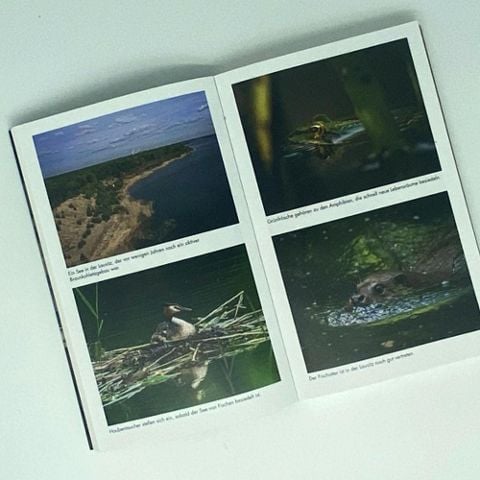 InsideView 5