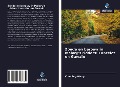 Cover-Bild zum Titel 'Zonde en berouw in Malory's ridders: Lancelot en Gawain' von 'Chunling Wang'