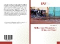 Cover-Bild zum Titel 'Hydraulique villageoise en Afrique de l'Ouest' von 'Ludovic Desruelles'