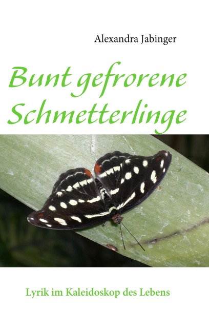 Bunt gefrorene Schmetterlinge - Alexandra Jabinger