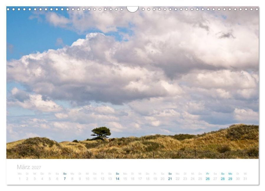 InsideView 8