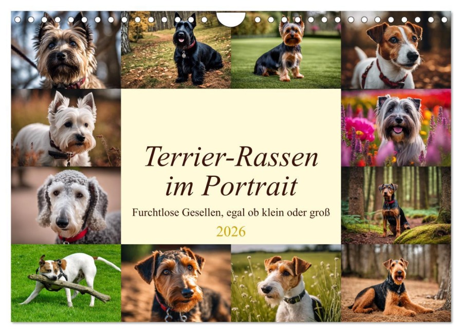 Terrier-Rassen im Portrait (Wandkalender 2026 DIN A4 quer), CALVENDO Monatskalender - Claudia Kleemann
