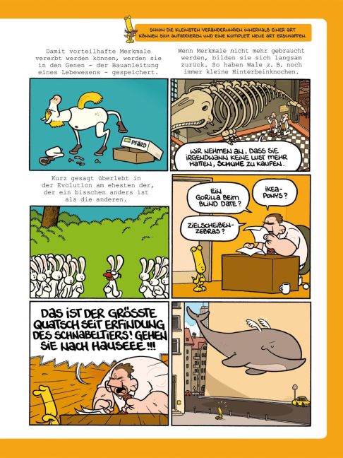 InsideView 5