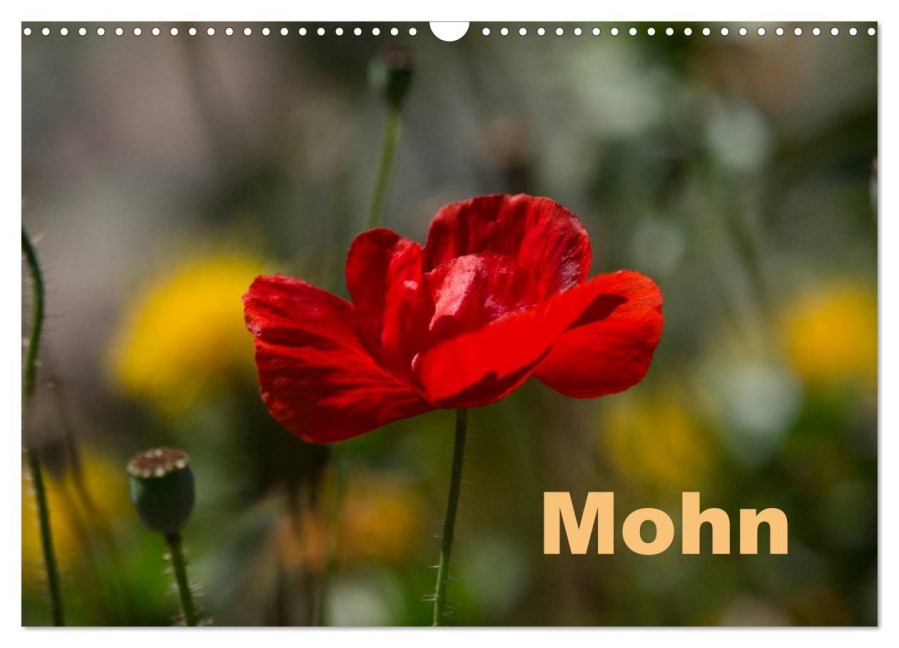 Mohn (Wandkalender 2026 DIN A3 quer), CALVENDO Monatskalender - Erwin Renken