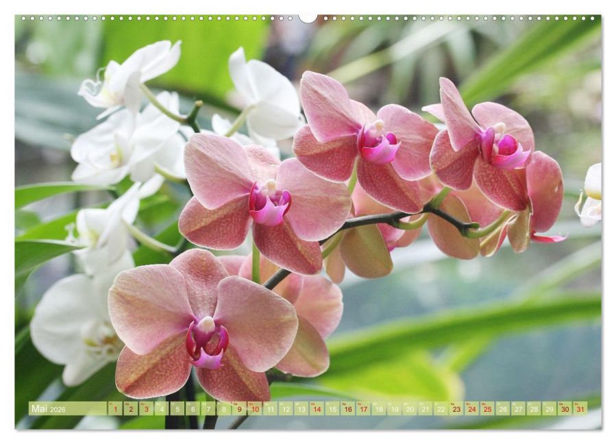 InsideView 10