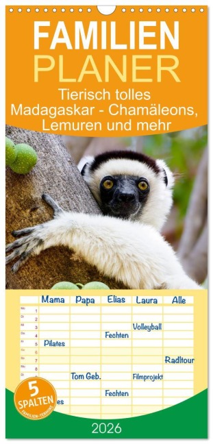 Familienplaner 2026 - Tierisch tolles Madagaskar - Chamäleons, Lemuren und mehr mit 5 Spalten (Wandkalender, 21 x 45 cm) CALVENDO - Dorothea Früh